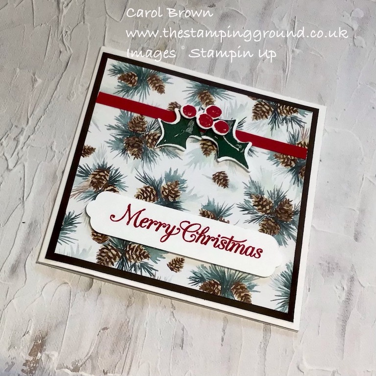 Stampin Up / Painted Season Christmas Card