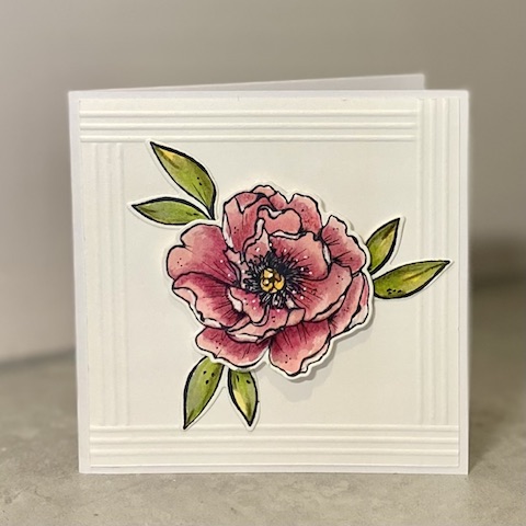 Watercolour Open Rose Card